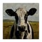 Stupell Industries Spotted Cow in Pasture Canvas, design by LSR Creative Studio